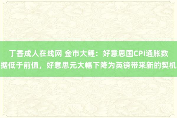 丁香成人在线网 金市大鲤：好意思国CPI通胀数据低于前值，好意思元大幅下降为英镑带来新的契机