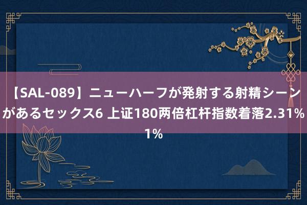 【SAL-089】ニューハーフが発射する射精シーンがあるセックス6 上证180两倍杠杆指数着落2.31%