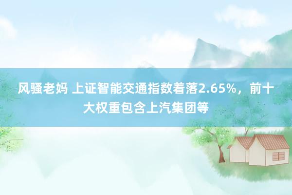 风骚老妈 上证智能交通指数着落2.65%，前十大权重包含上汽集团等