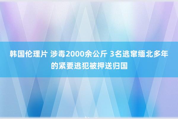 韩国伦理片 涉毒2000余公斤 3名逃窜缅北多年的紧要逃犯被押送归国