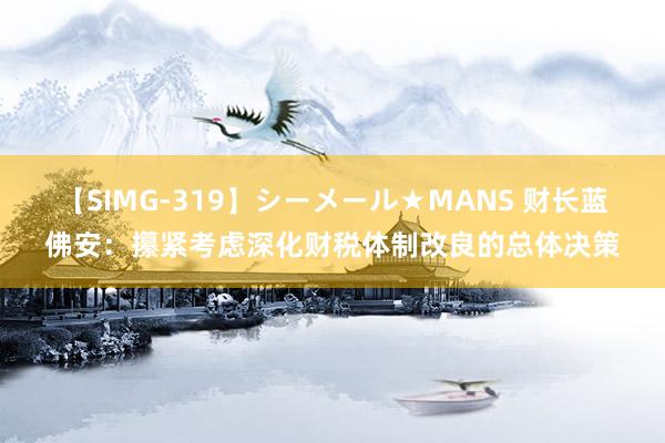 【SIMG-319】シーメール★MANS 财长蓝佛安：攥紧考虑深化财税体制改良的总体决策