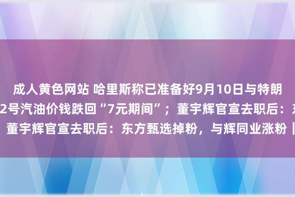 成人黄色网站 哈里斯称已准备好9月10日与特朗普筹商；国内无数地区92号汽油价钱跌回“7元期间”；董宇辉官宣去职后：东方甄选掉粉，与辉同业涨粉｜早报