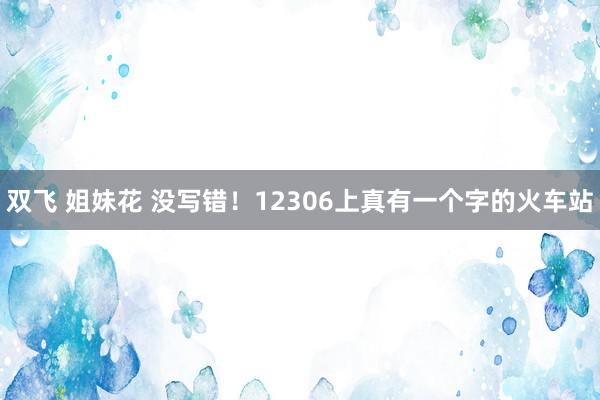 双飞 姐妹花 没写错！12306上真有一个字的火车站