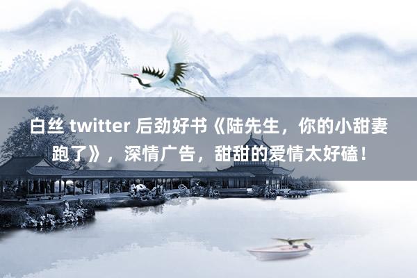 白丝 twitter 后劲好书《陆先生，你的小甜妻跑了》，深情广告，甜甜的爱情太好磕！