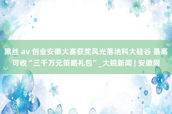 黑丝 av 创业安徽大赛获奖风光落地科大硅谷 最高可收“三千万元策略礼包”_大皖新闻 | 安徽网