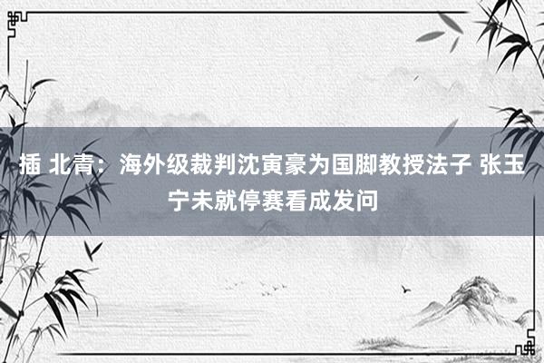 插 北青：海外级裁判沈寅豪为国脚教授法子 张玉宁未就停赛看成发问