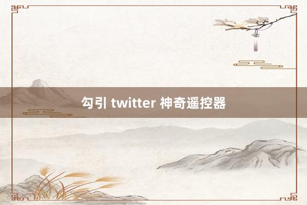 勾引 twitter 神奇遥控器