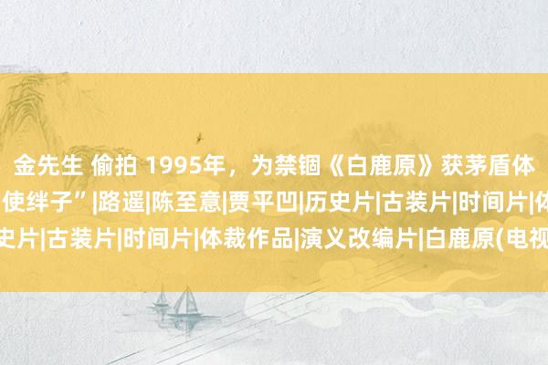 金先生 偷拍 1995年，为禁锢《白鹿原》获茅盾体裁奖，作协主席尽头“使绊子”|路遥|陈至意|贾平凹|历史片|古装片|时间片|体裁作品|演义改编片|白鹿原(电视剧)