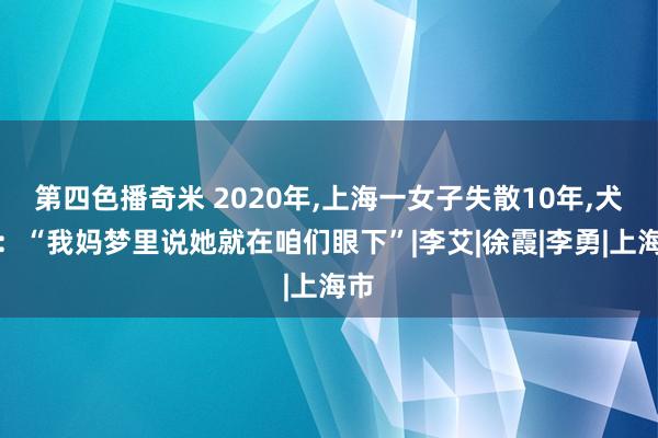 第四色播奇米 2020年,上海一女子失散10年,犬子：“我妈梦里说她就在咱们眼下”|李艾|徐霞|李勇|上海市